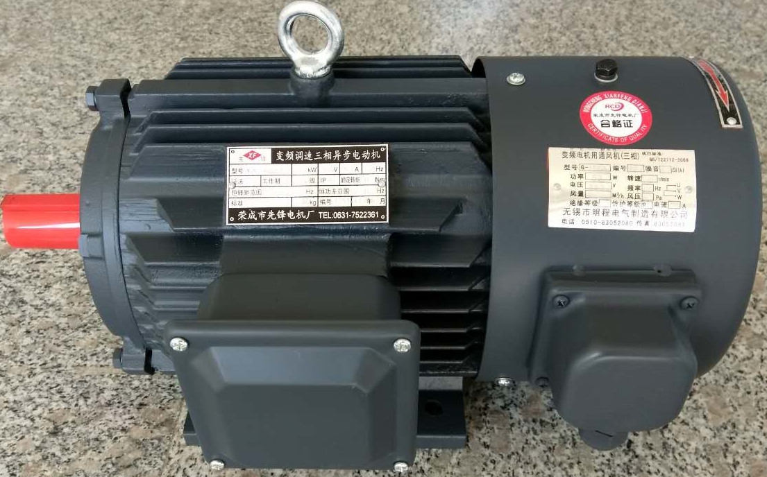 YVP、YVF系列變頻調速三相異步電動機